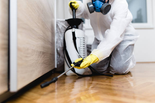 Best Pest Prevention Services  in Crompond, NY
