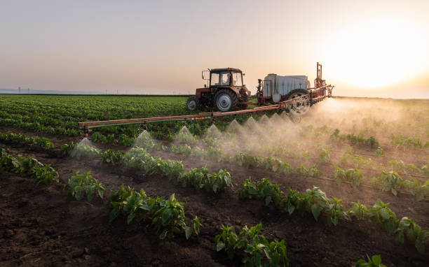 Best Pest Removal Services  in Crompond, NY