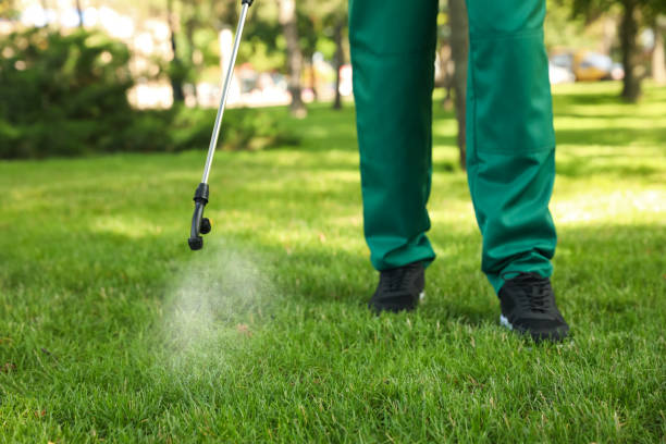 Best Emergency Pest Control  in Crompond, NY