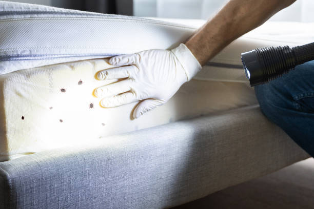 Pest Prevention Services in Crompond, NY