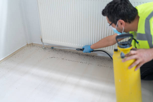 Best Pest Inspection Near Me  in Crompond, NY